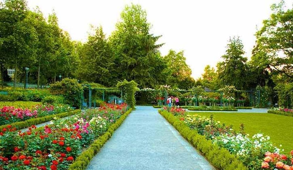 blog-images
