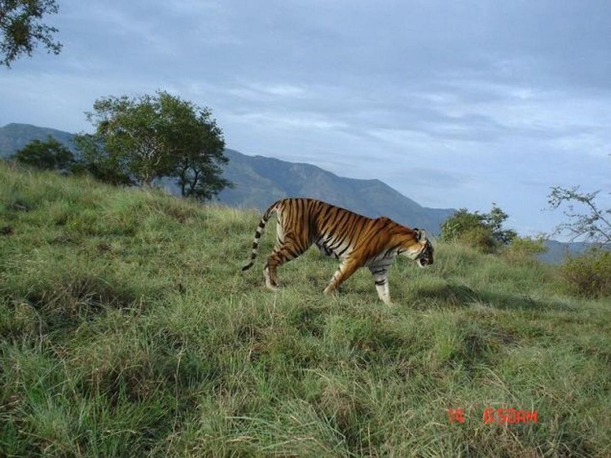 blog-images
