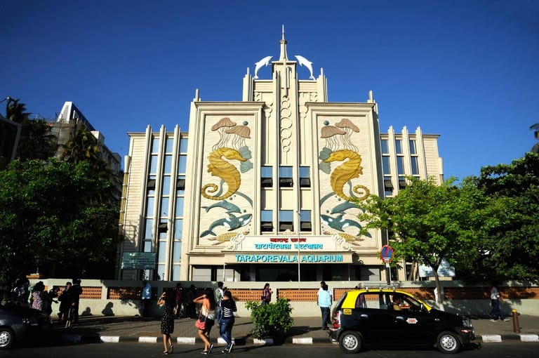 taraporewala-aquarium