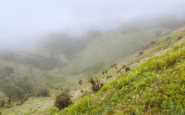 blog-images