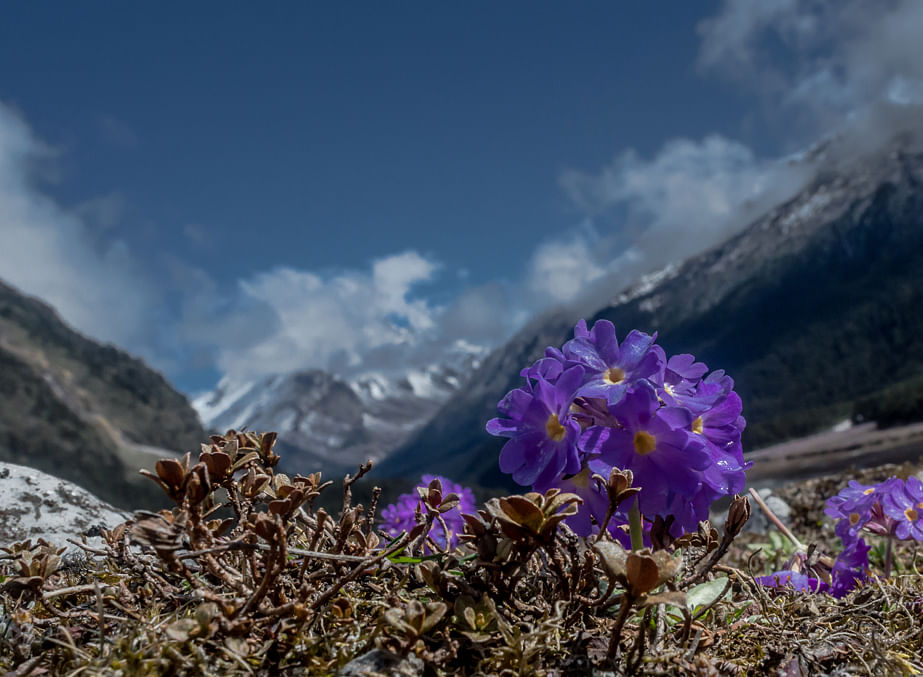 blog-images