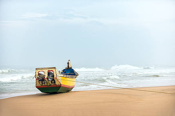 blog-images