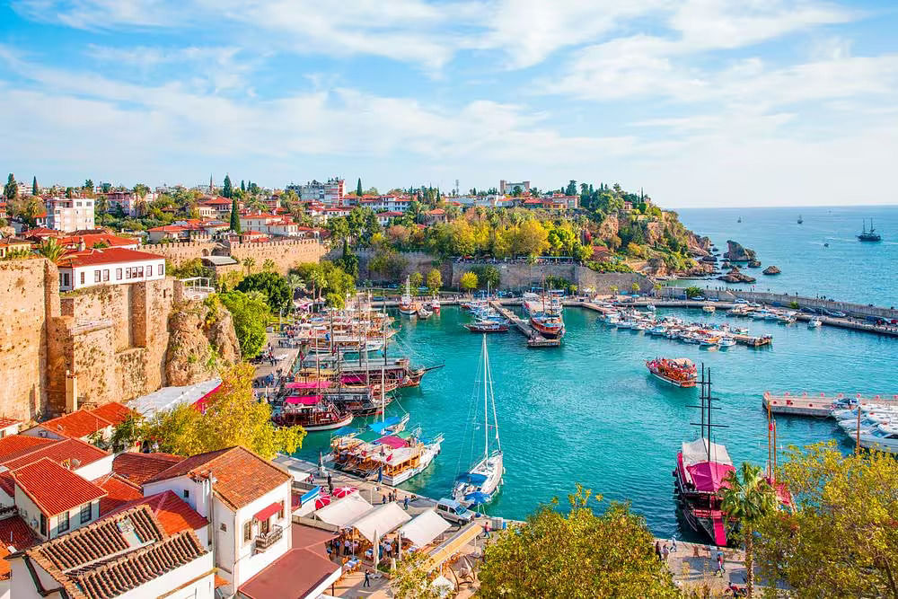 turkey