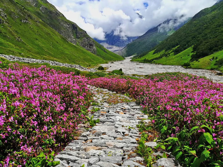 valley-of-flowers-opening-date