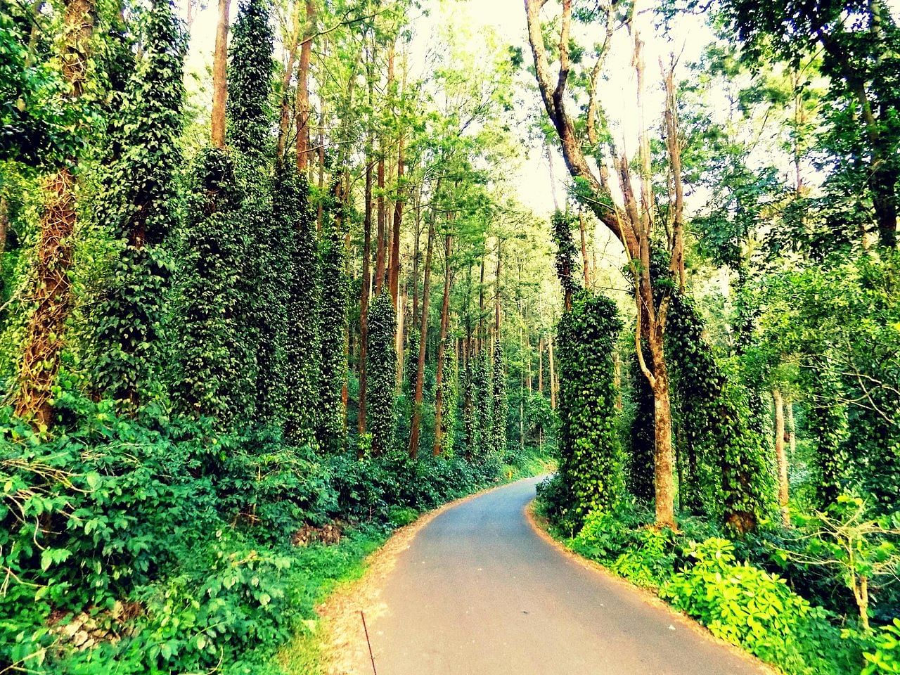 blog-images