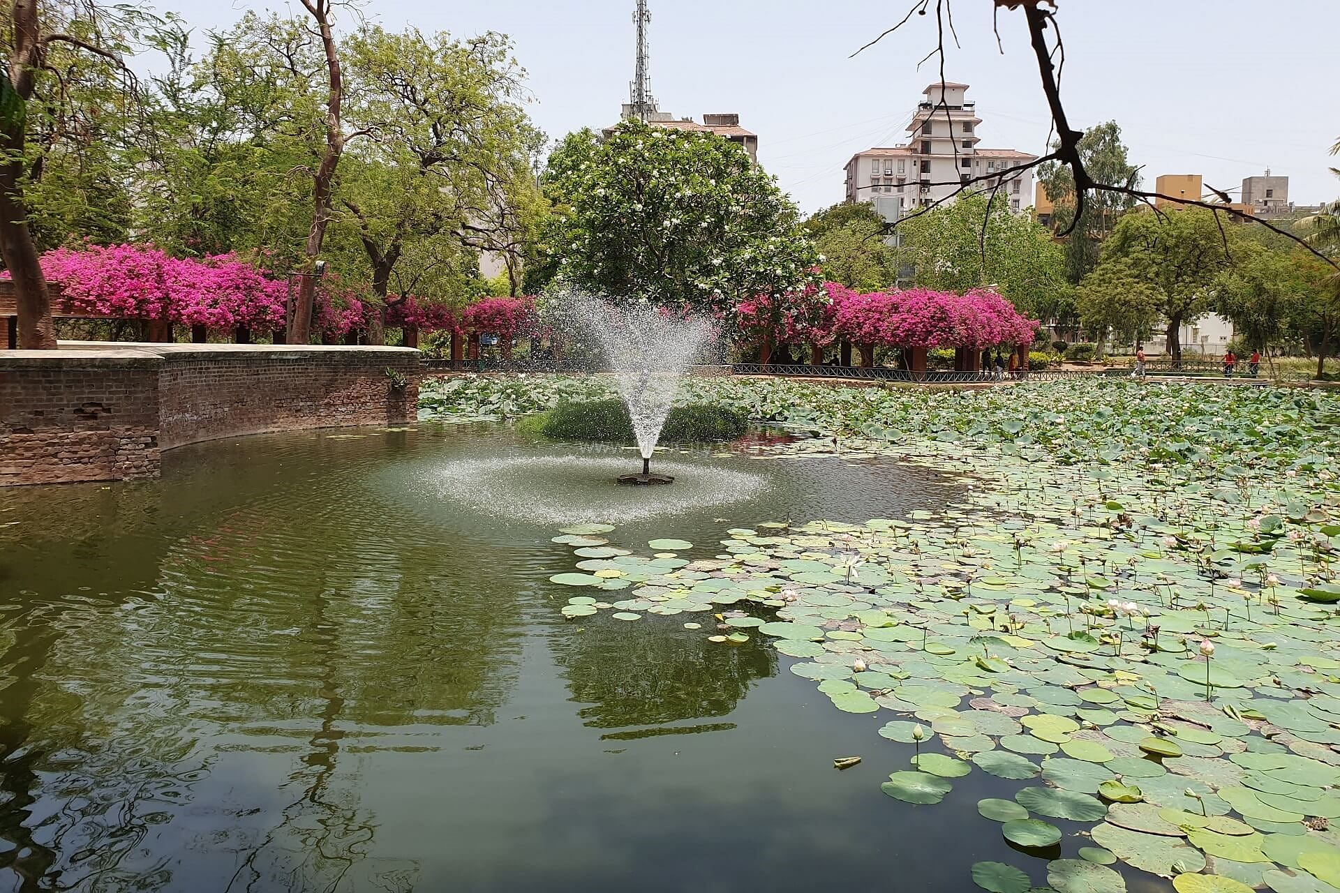 blog-images