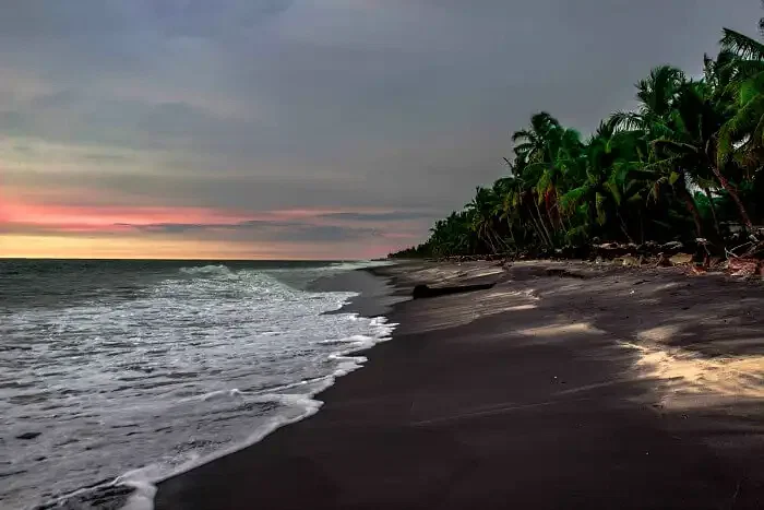 Best Places To Visit Kerala In Monsoon