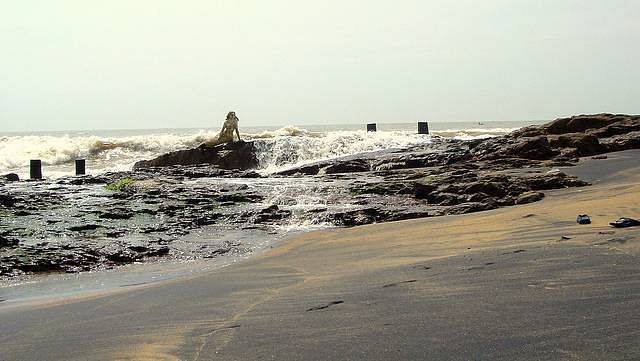 blog-images