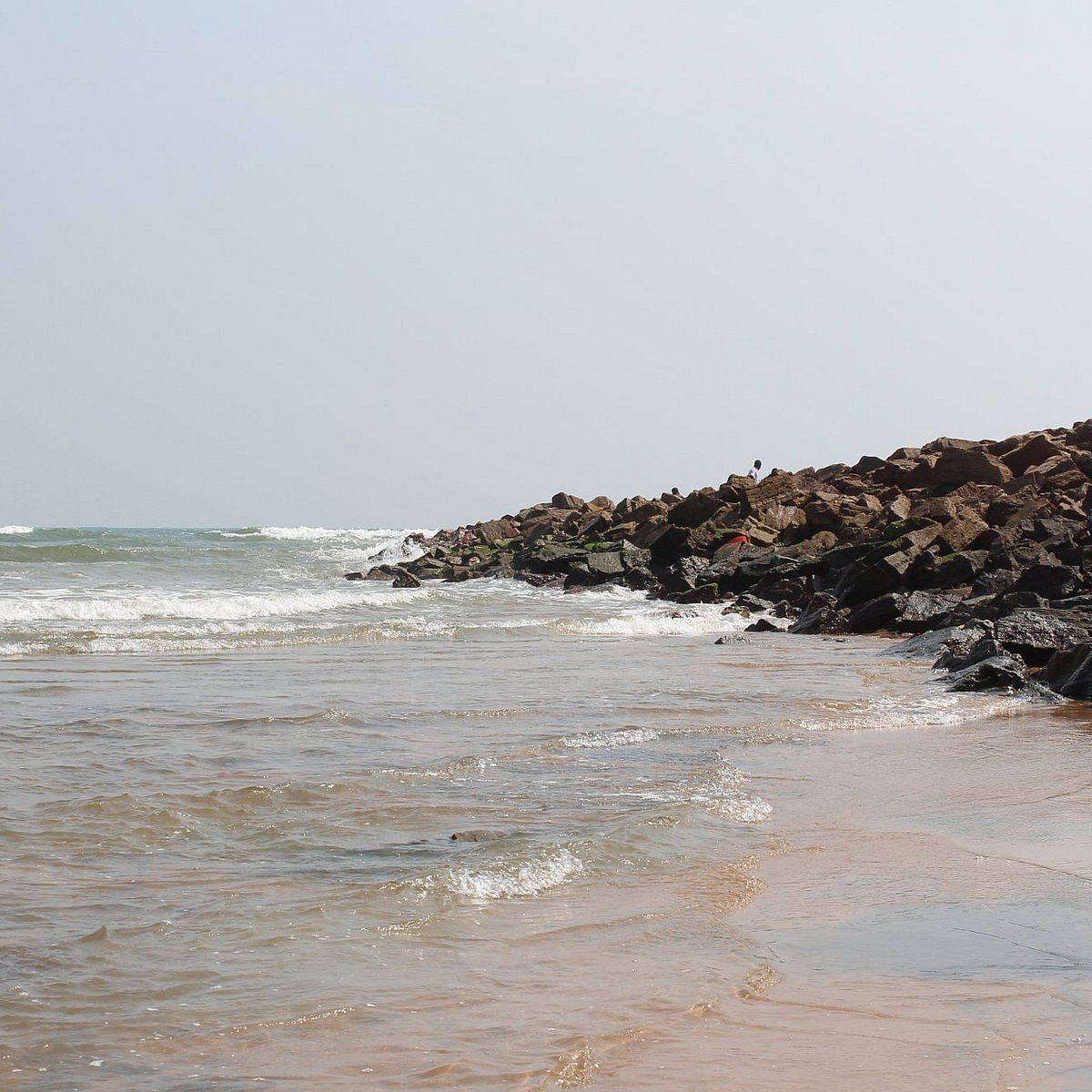 blog-images