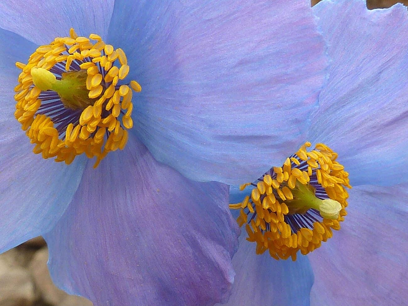 blog-images