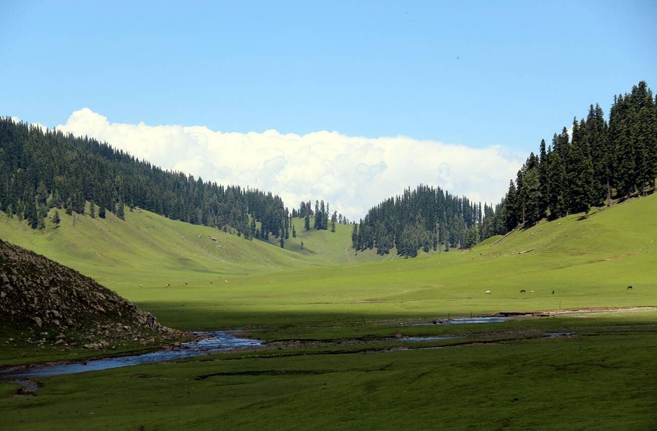 blog-images