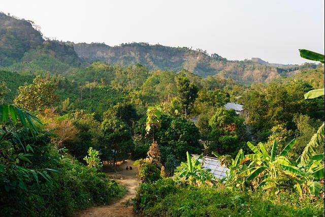 blog-images