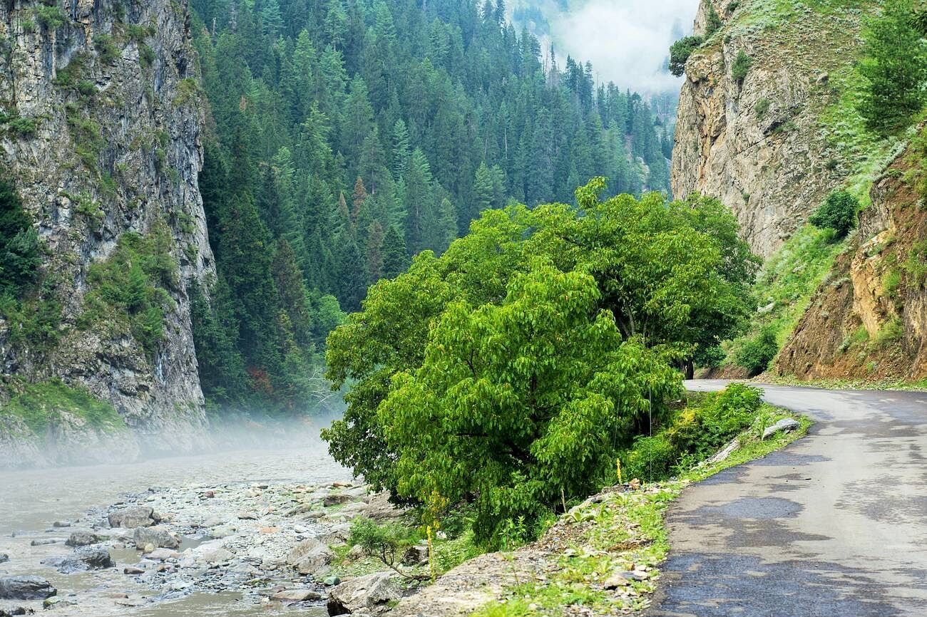 blog-images