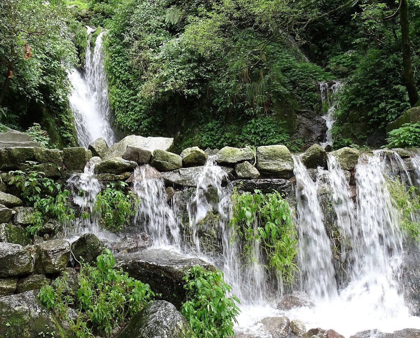 blog-images