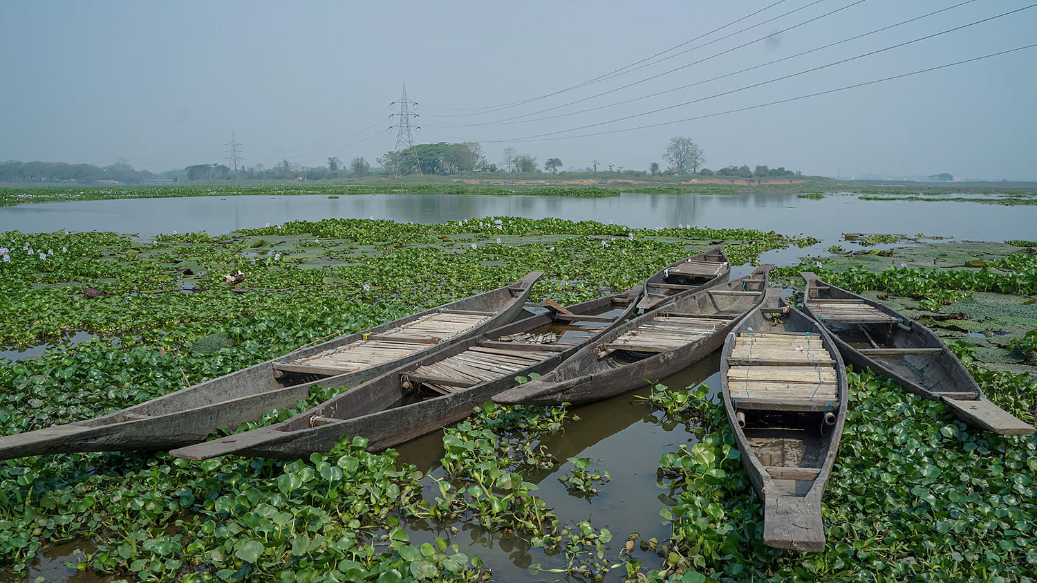 blog-images