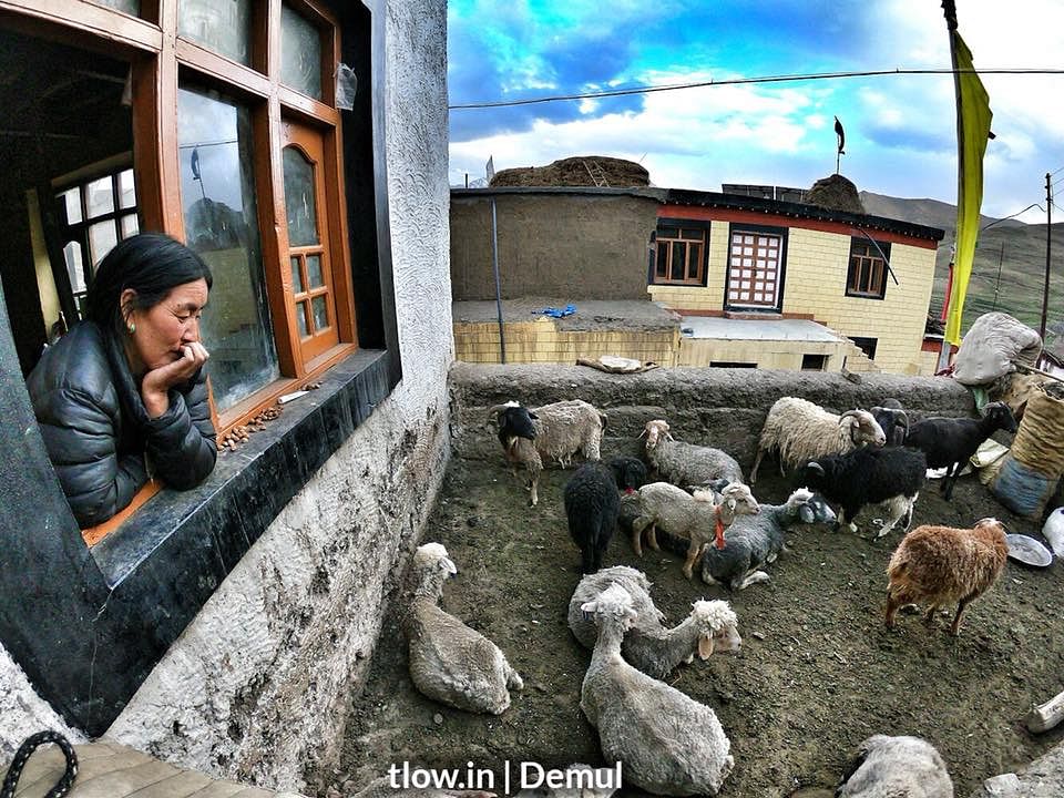 demul-village