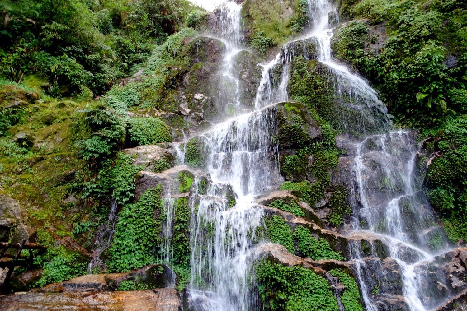 blog-images