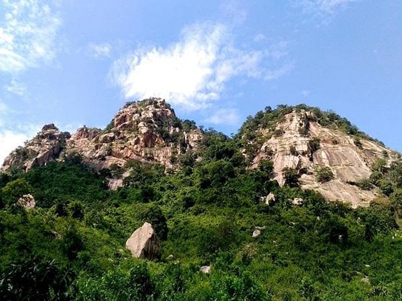 blog-images