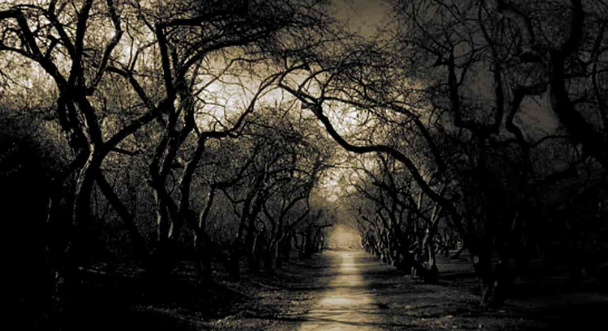 blog-images