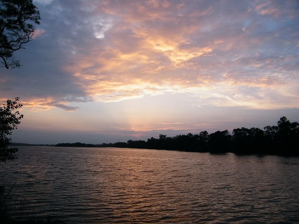 blog-images