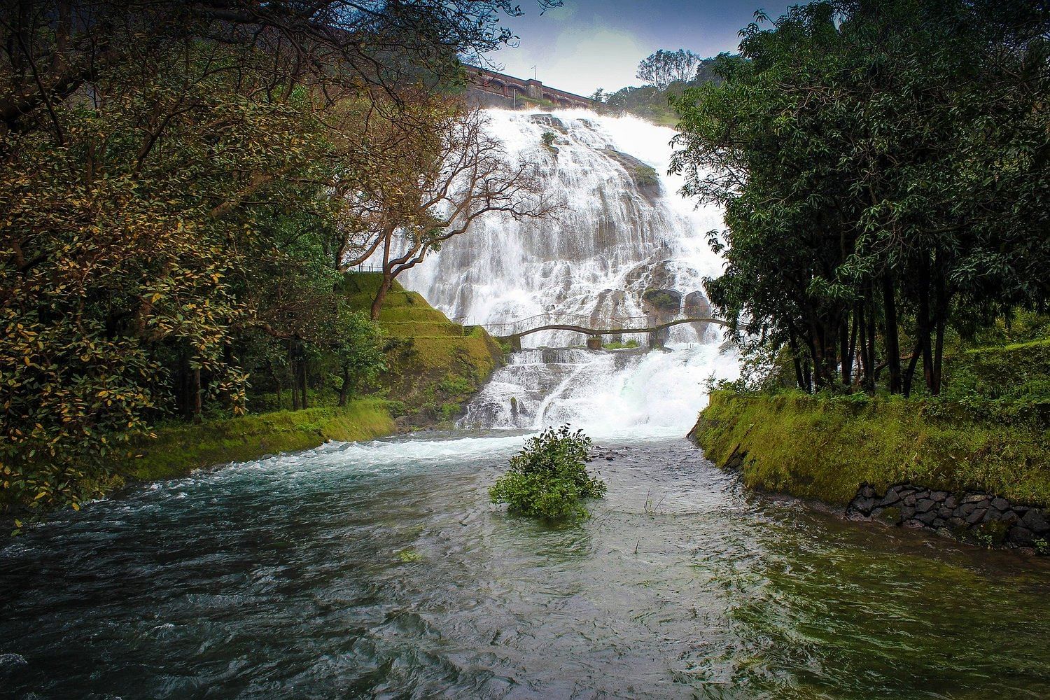 blog-images