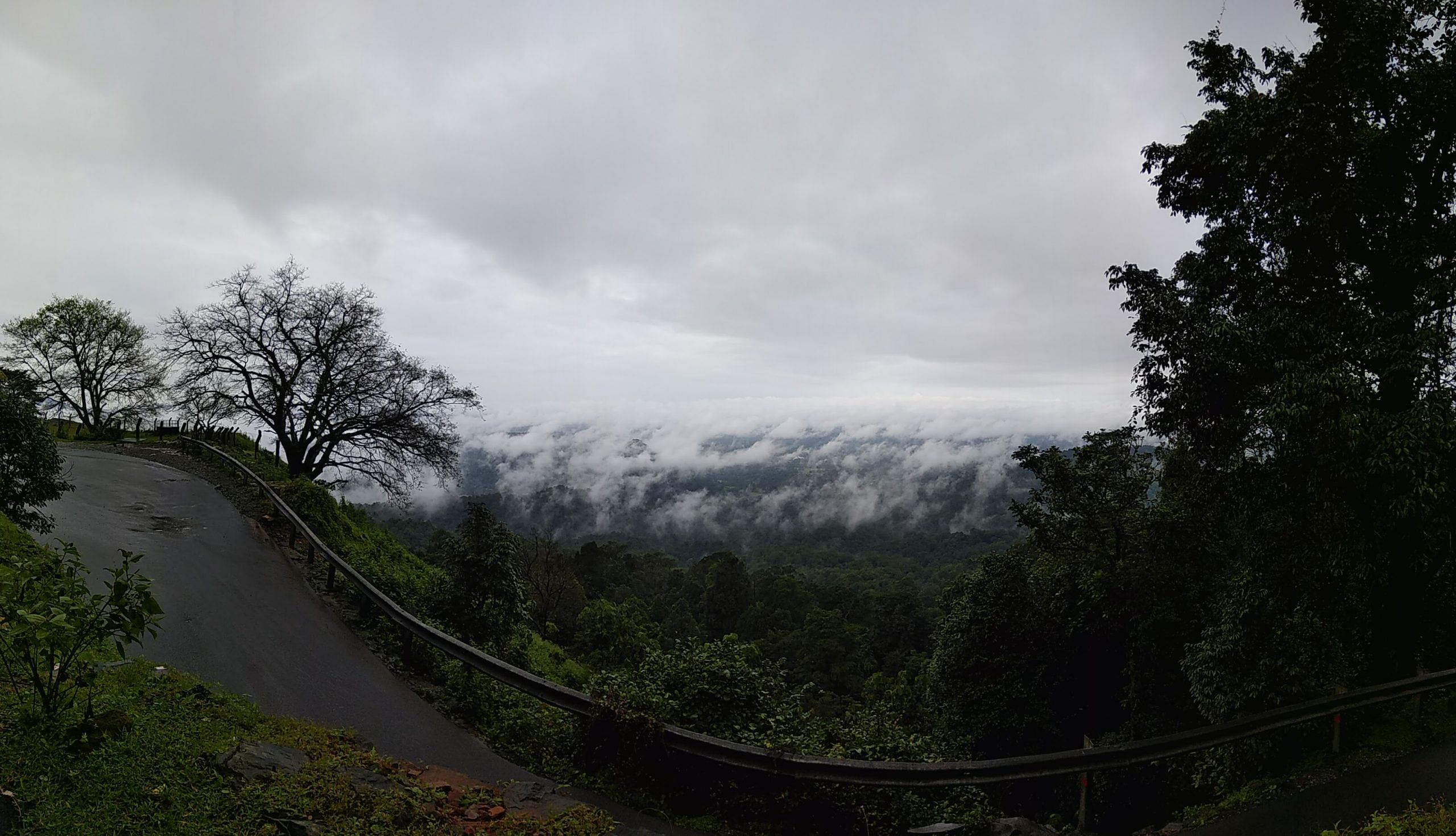 blog-images
