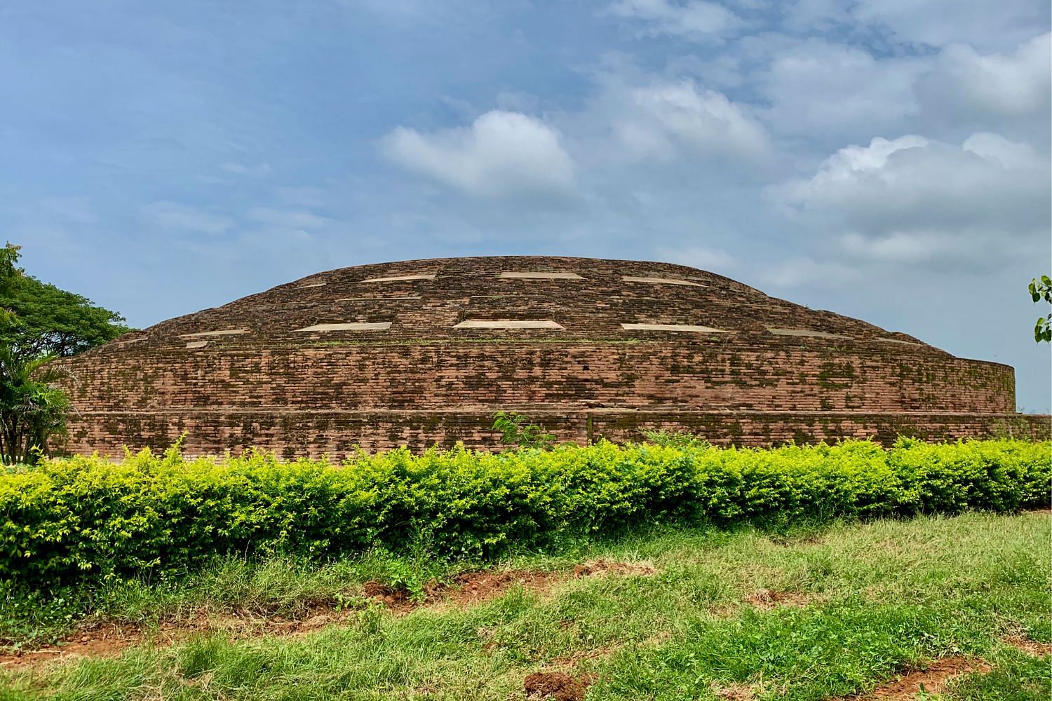 blog-images