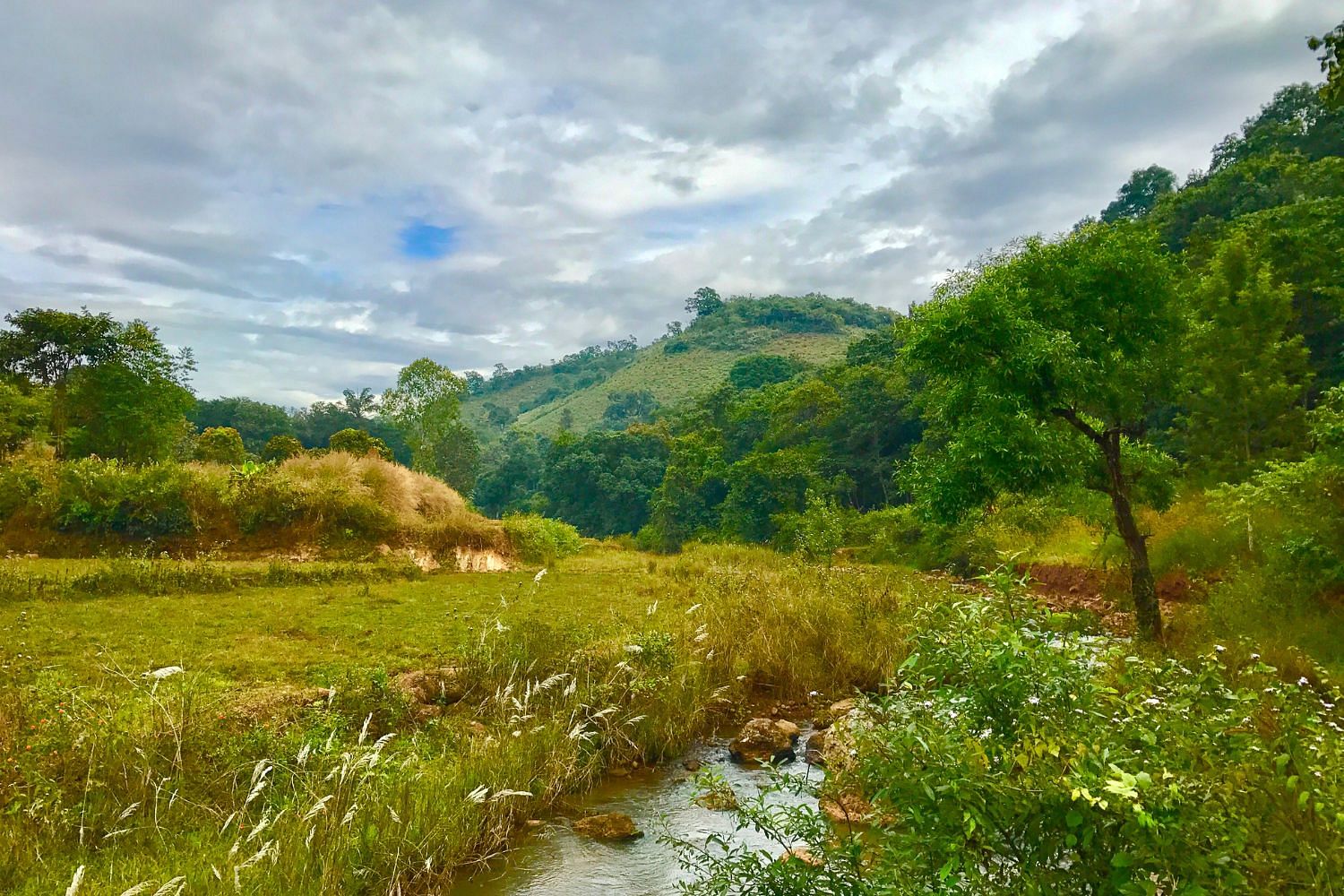 blog-images