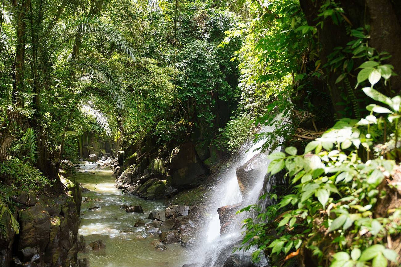 blog-images