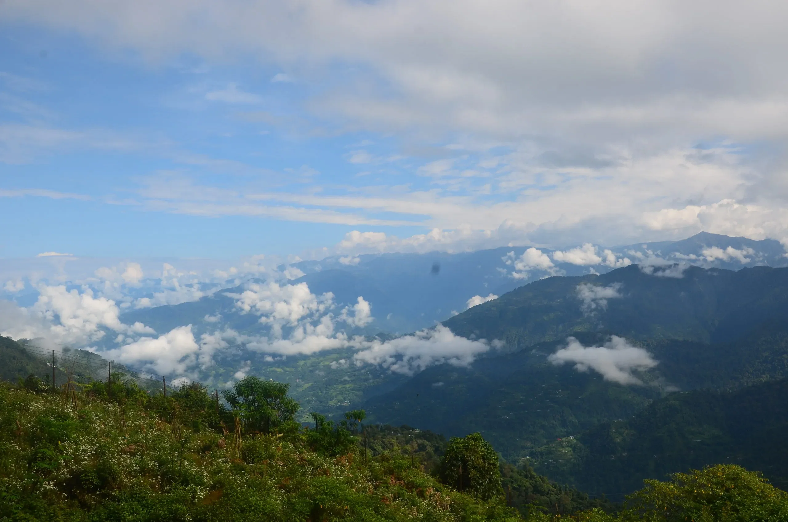 blog-images