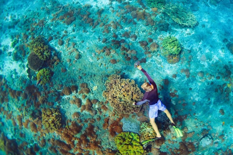 lembongan-reef-cruise