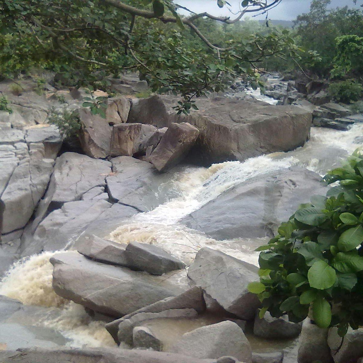 blog-images