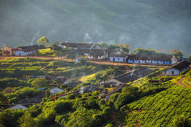 Houses for plantation workers in Munnar tea plantations, Kerala,  India