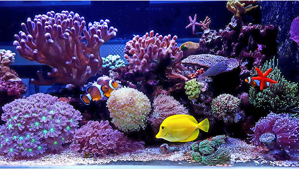 blog-images