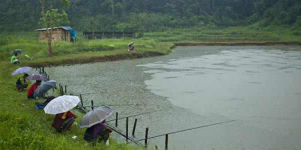blog-images