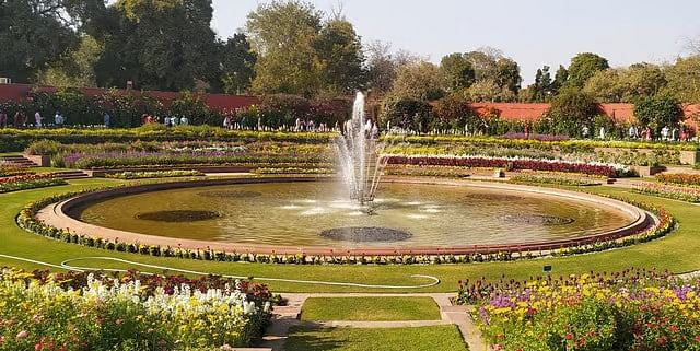 blog-images