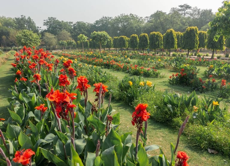 nehru-park