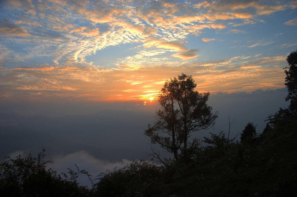 blog-images