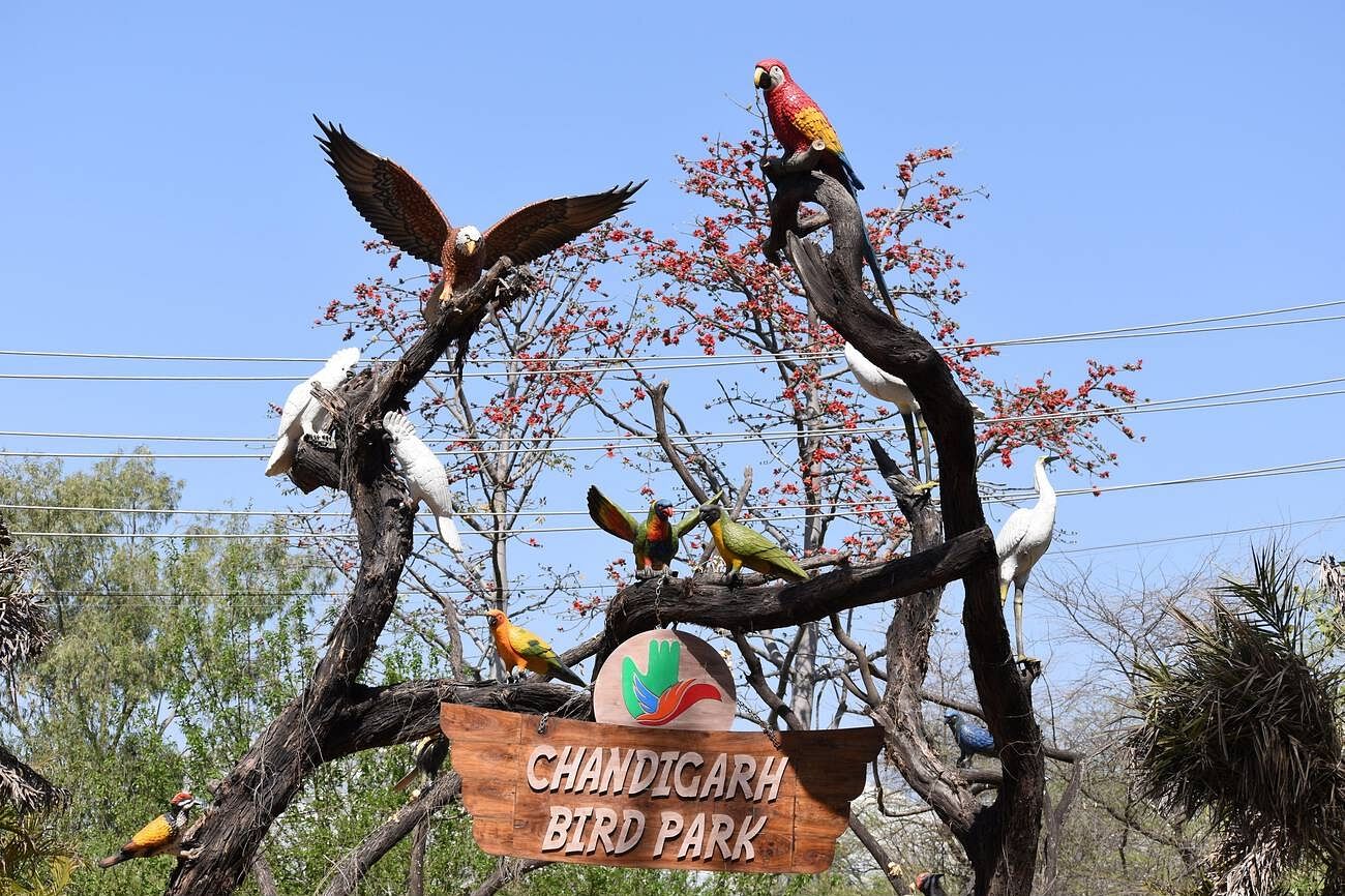 parks-in-chandigarh