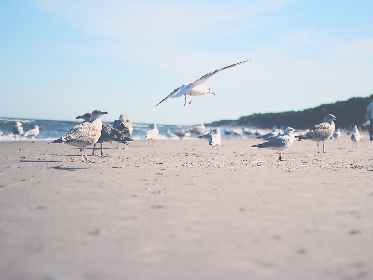blog-images