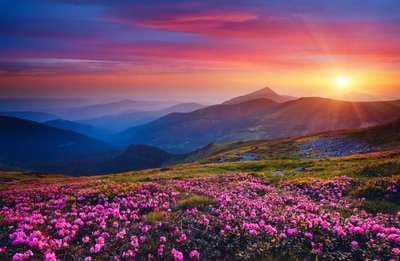 phrumsengla-national-park