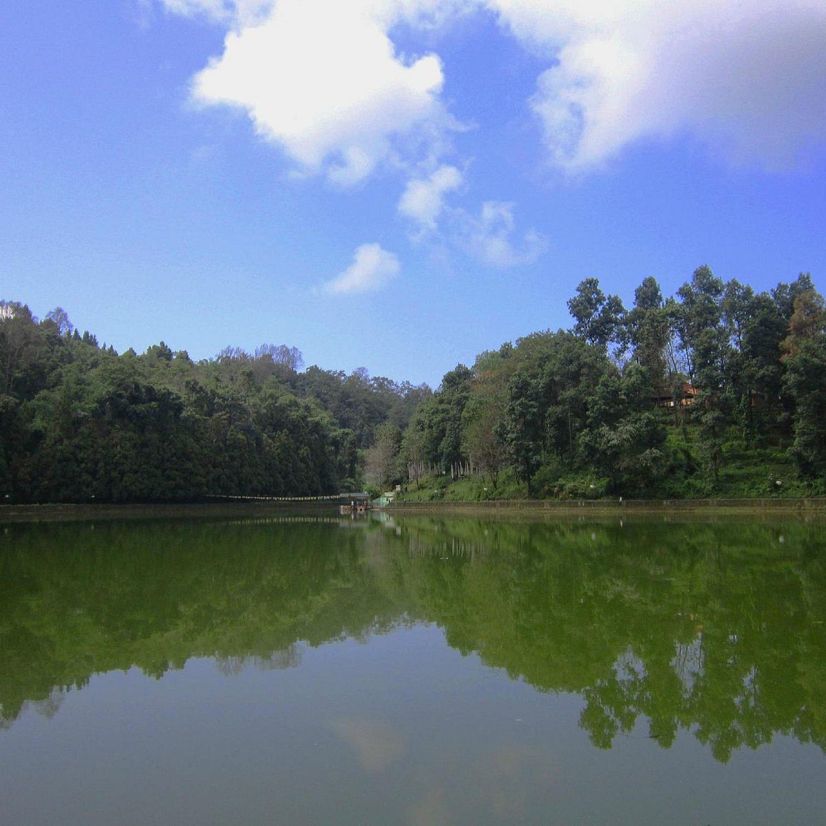 blog-images