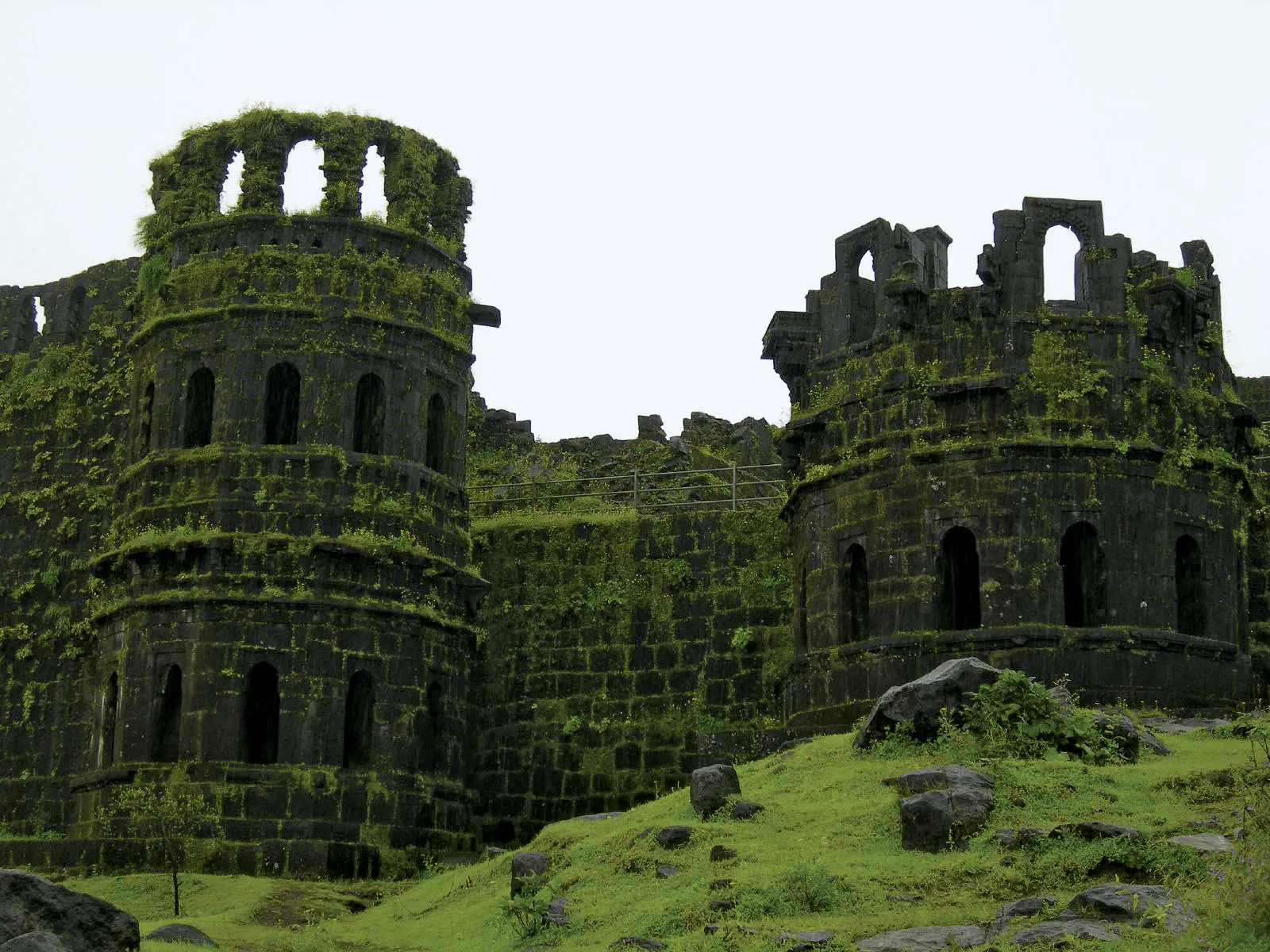 blog-images