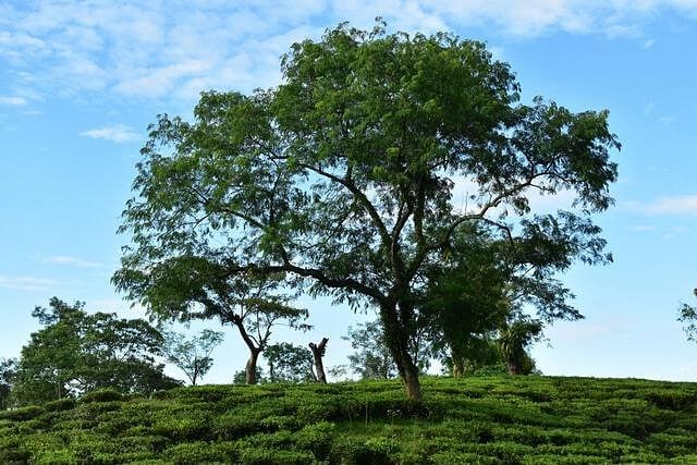 blog-images