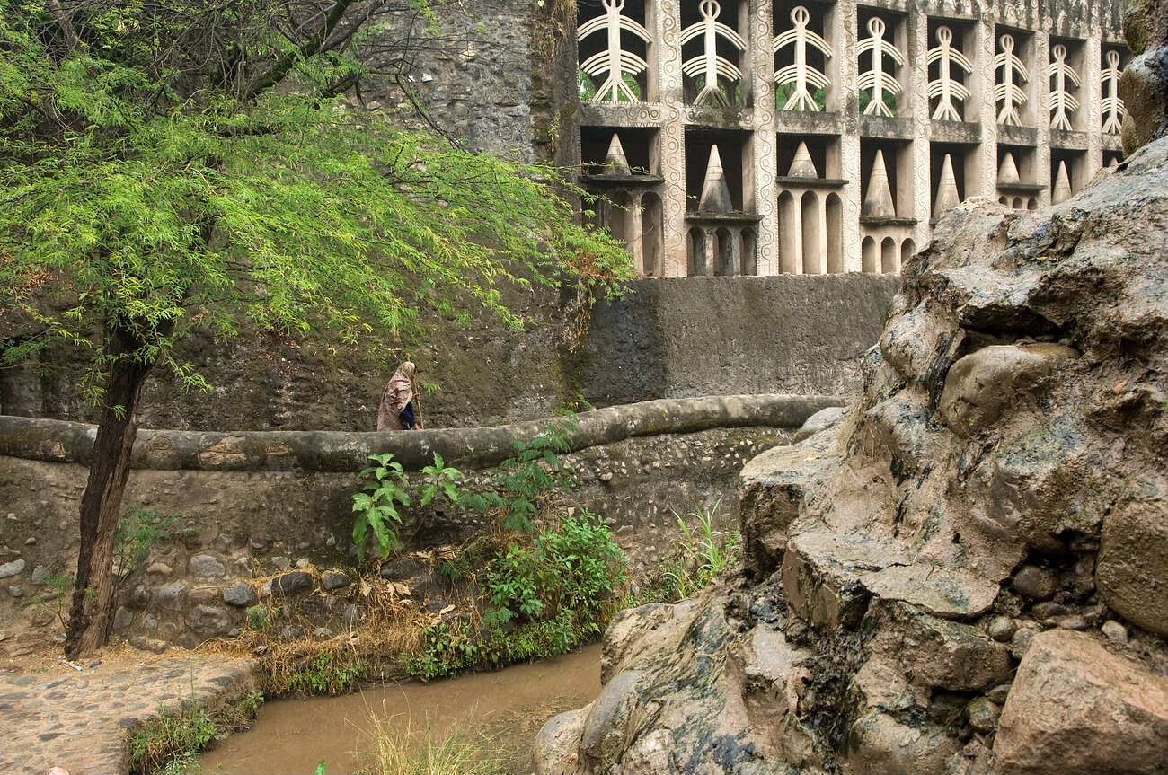 rock-garden
