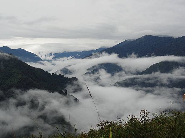 blog-images