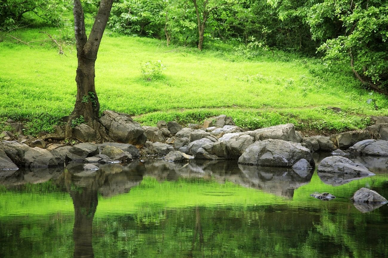 blog-images