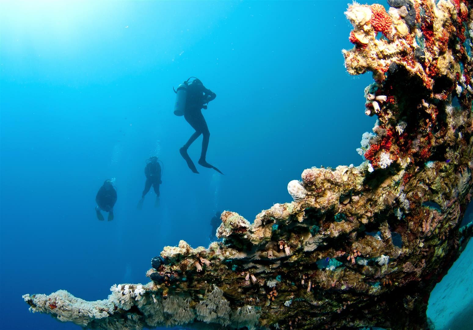 scuba-diving-in-andaman
