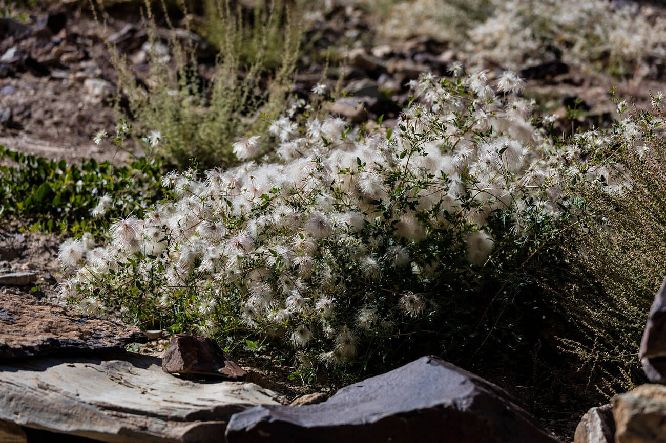 blog-images