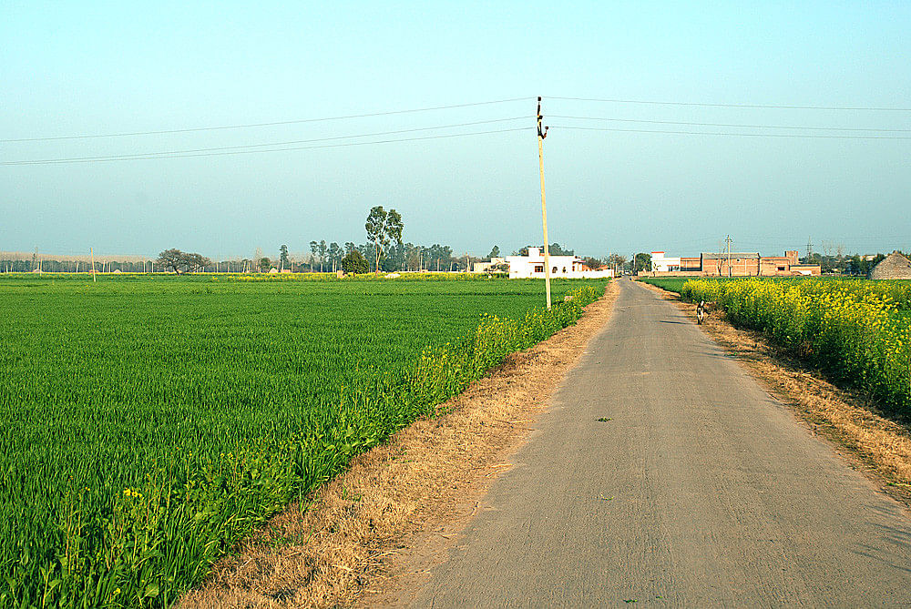 blog-images